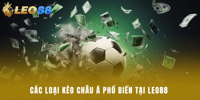 Các loại kèo châu Á phổ biến tại Leo88