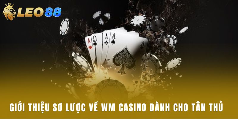 Giới thiệu sơ lược về WM Casino dành cho tân thủ  