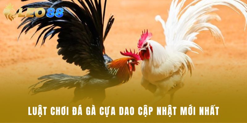 Luật chơi đá gà cựa dao cập nhật mới nhất