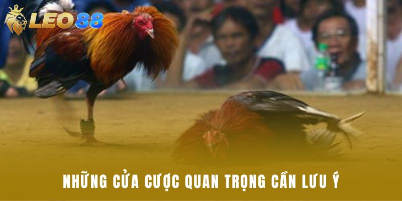 Những cửa cược quan trọng cần lưu ý